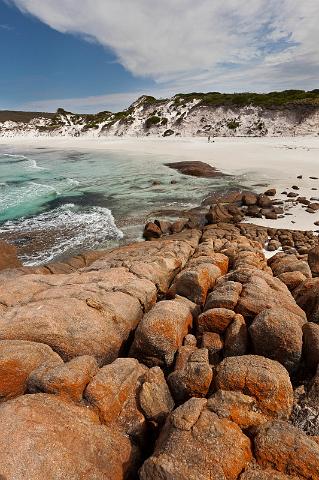 111 Cap le Grand NP, thistle cove.jpg